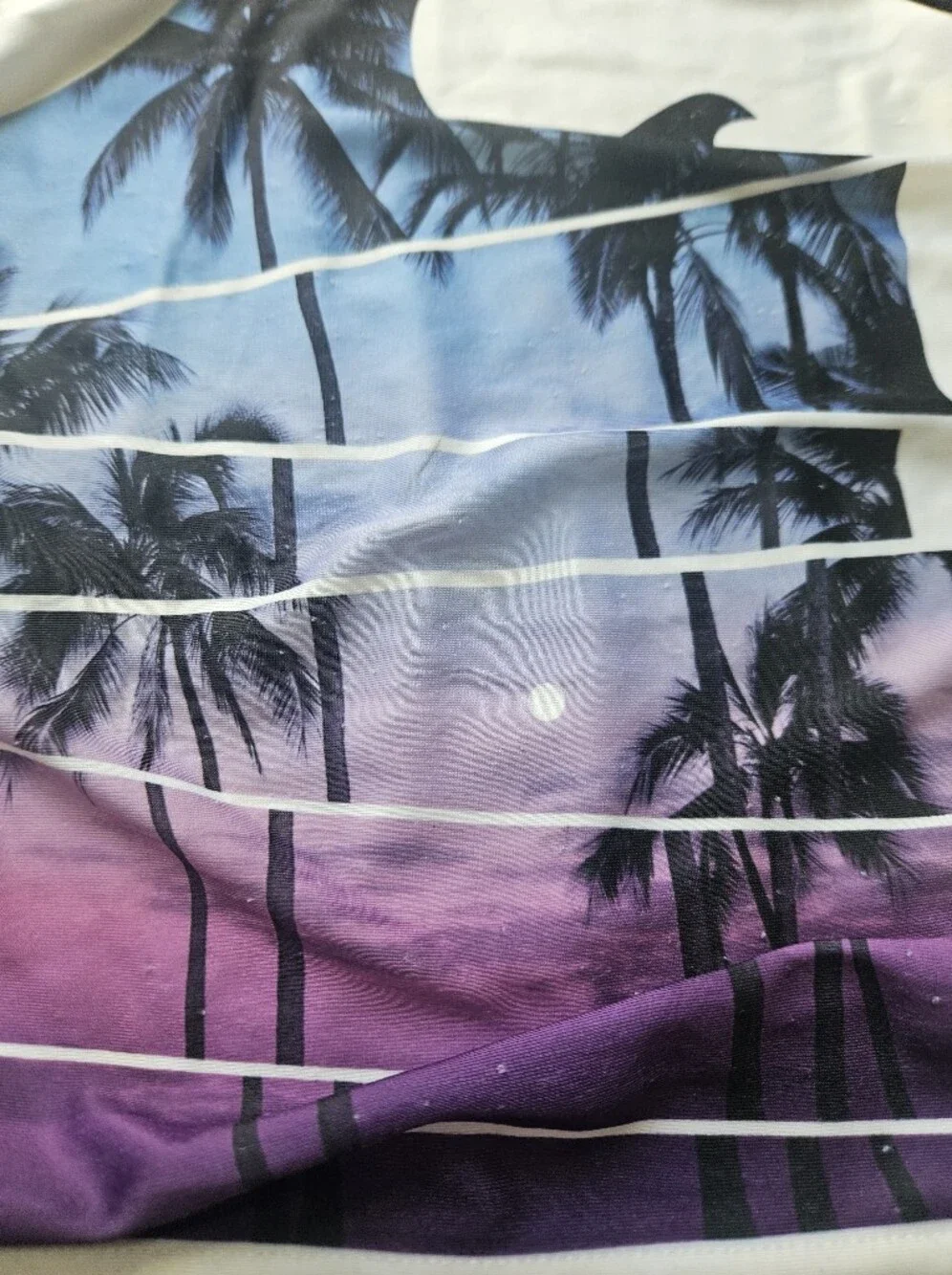 Boys Gymboree Tropical Palm Print Swim Set - Blue, Purple, Black 4t Xs